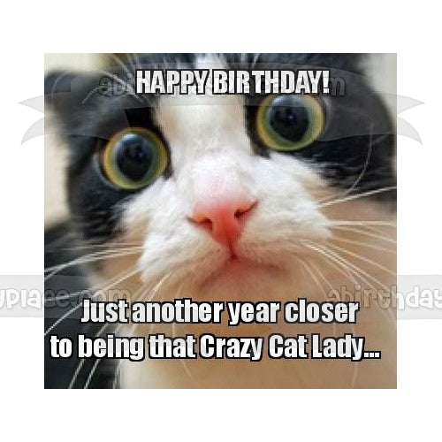 Meme Happy Birthday Crazy Eyed Cat Crazy Cat Lady Edible Cake Topper Image ABPID51484