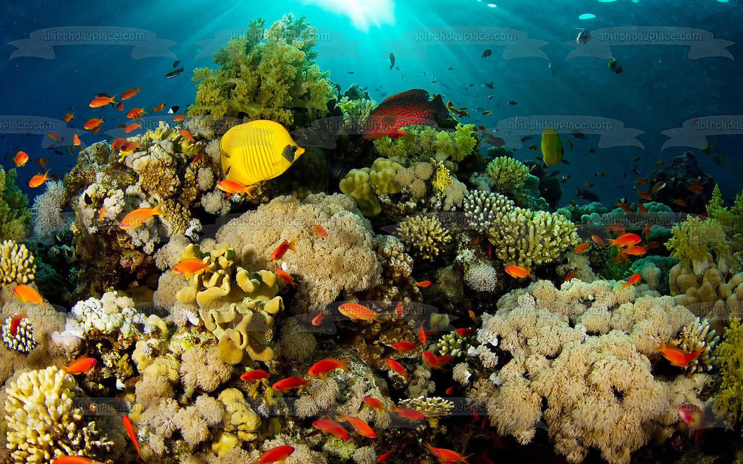 Imagen comestible para tarta con diseño de paisaje de vida oceánica, pez, coral, ABPID52521 