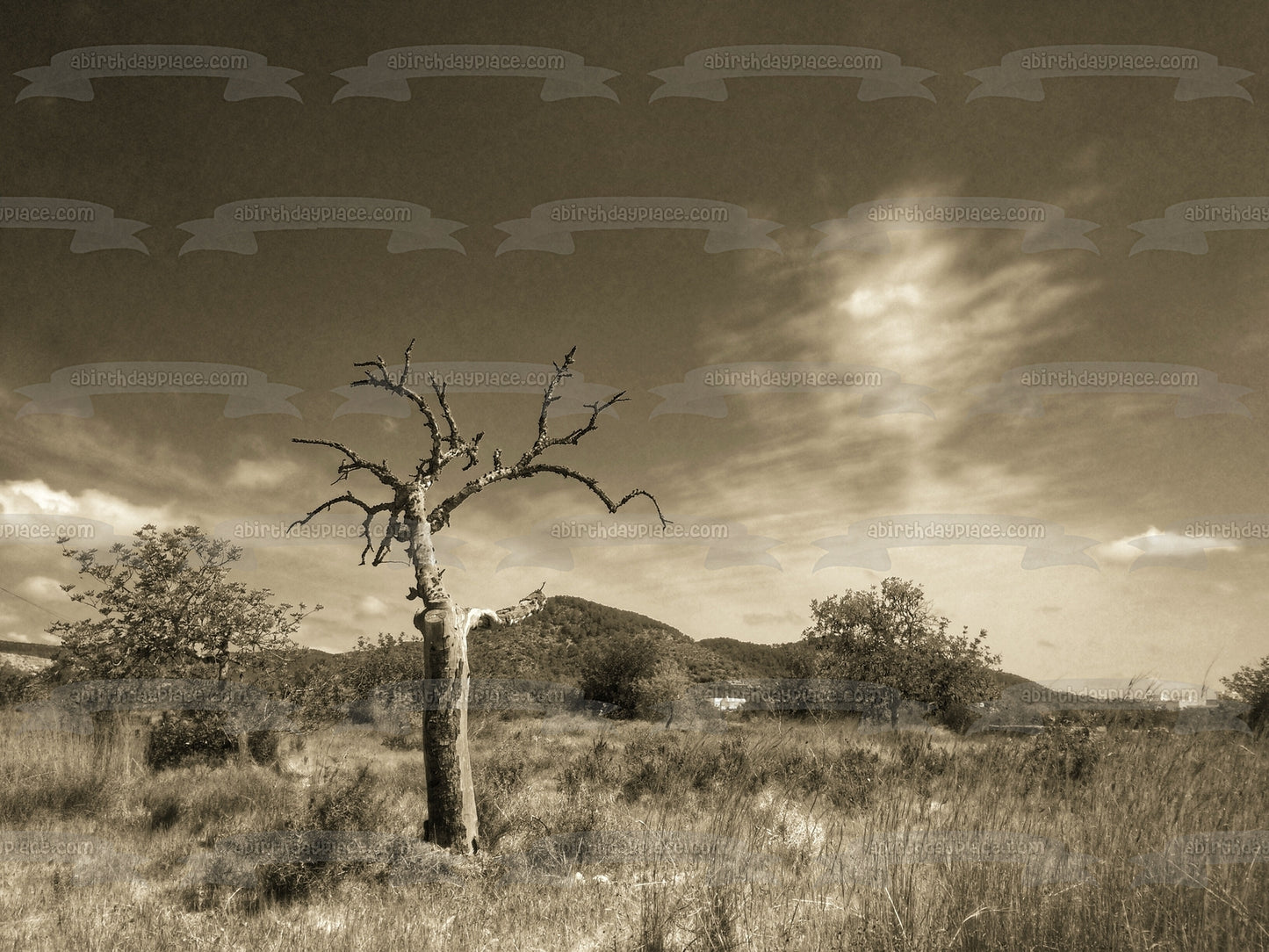 Adorno comestible para tarta con paisaje sombrío en tono sepia de árboles, imagen ABPID52589 