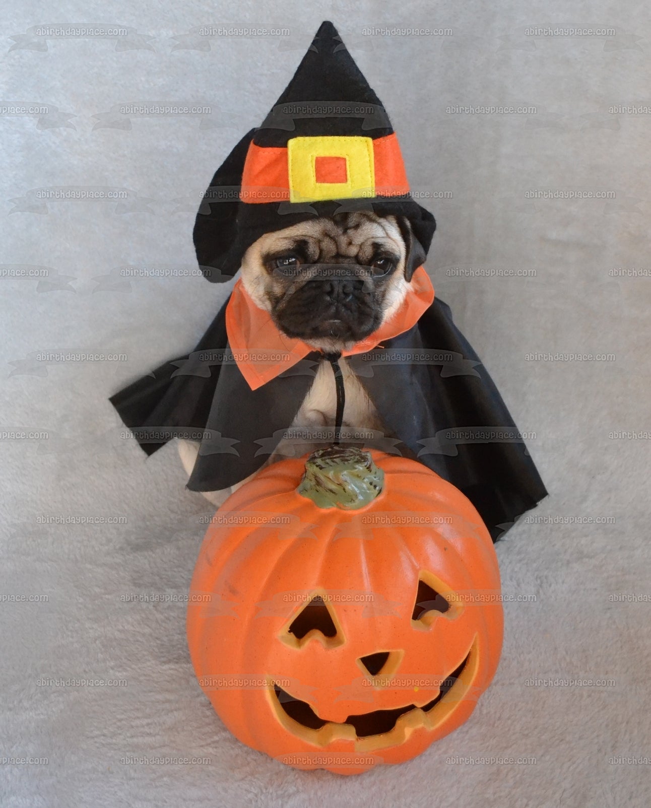 Imagen de decoración comestible para tarta de Pug de Halloween de Trick R Treat ABPID52624 