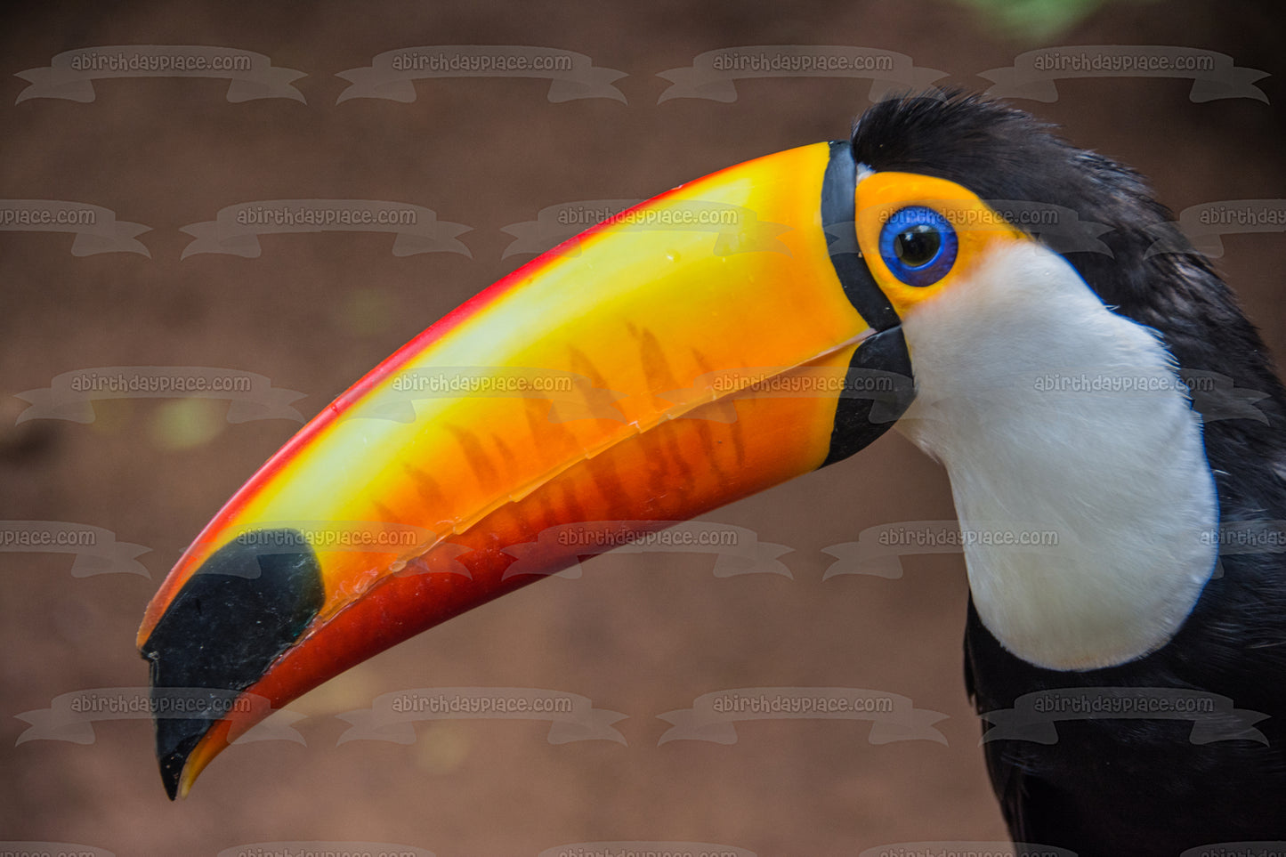 Imagen de decoración comestible para tarta, diseño de animales, pájaros, tucán, selva, vida silvestre, ABPID52830 