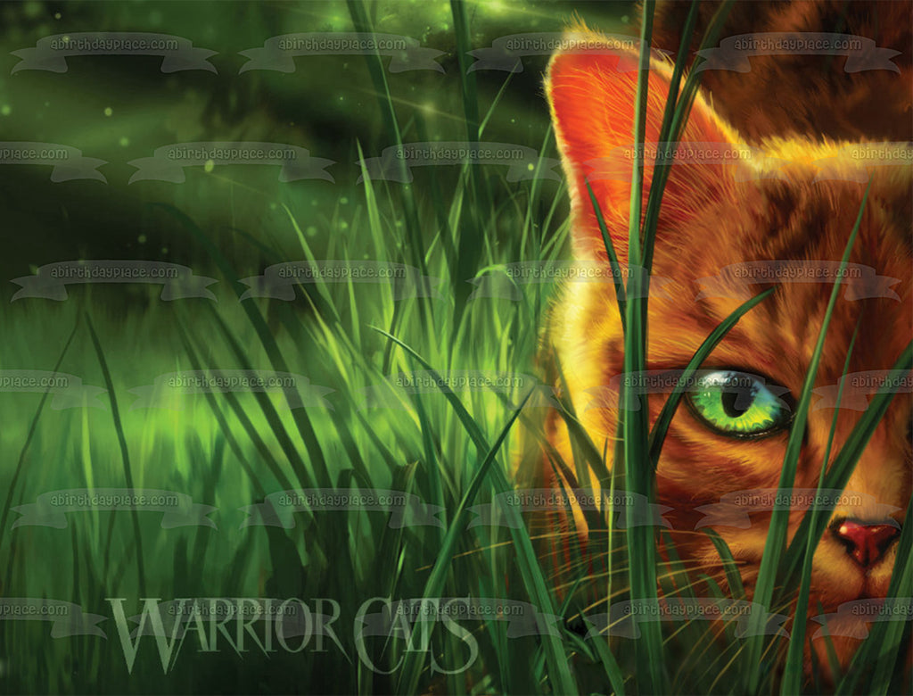 Warrior Cats products for sale