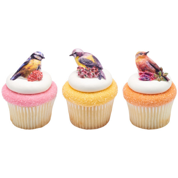 Springtime Birds Cupcake Rings