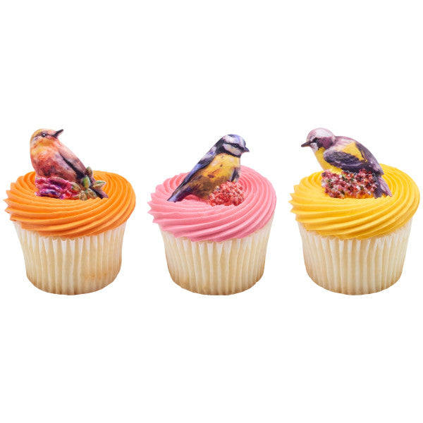 Springtime Birds Cupcake Rings