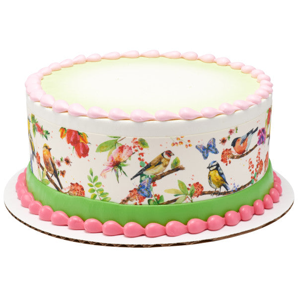 Springtime Birds Edible Cake Topper Image Strips