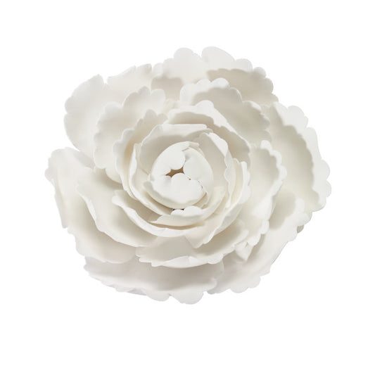 White Peony Gum Paste Flowers