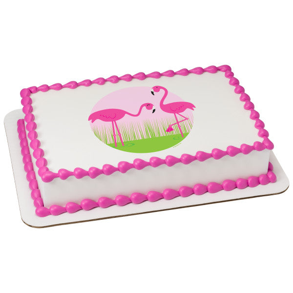 Flamingo 1st Birthday Party! - Rach Makes Cakes